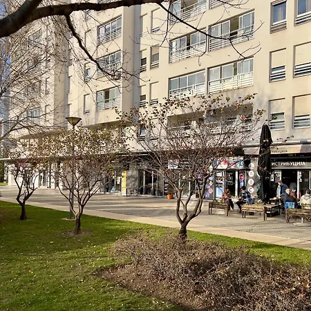 Sofi Belville בלגרד